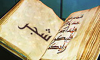 The word ''shajar'' in Quran